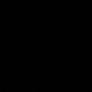 Meet your Posher, Jasmin